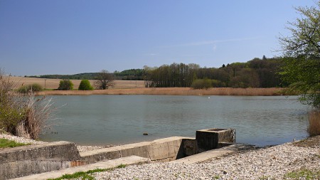 Zlíčský rybník